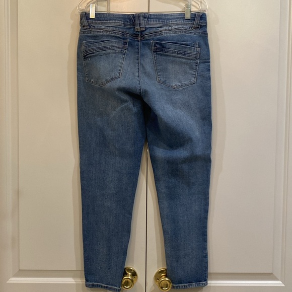 Democracy “Ab” Technology - Picture 3 of 9